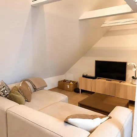 Sv3g 3br With Patio Apartment Oslo